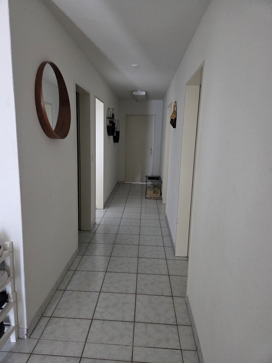 Appartamento di 5 ½ locali