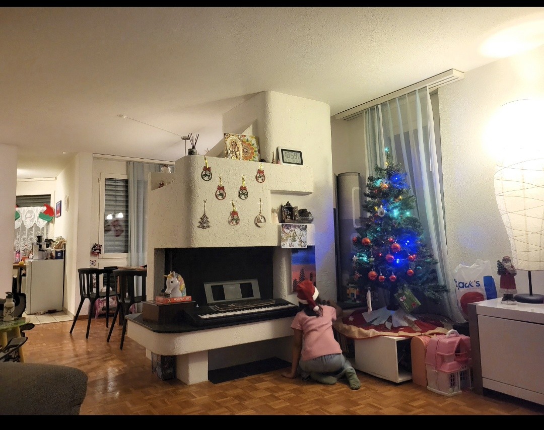 4 ½-Zimmer-Wohnung, Foto 4 von 10