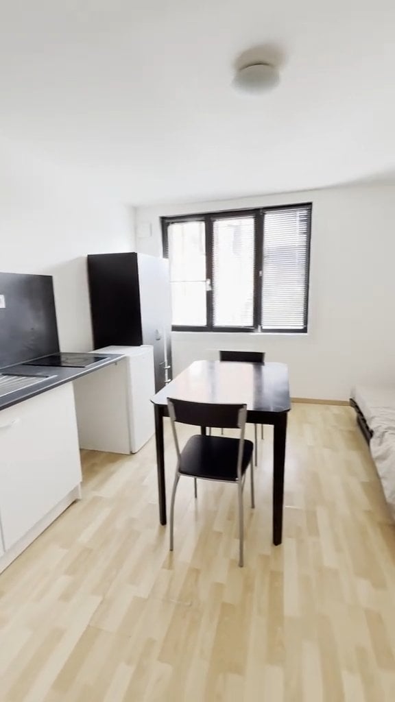1 room apartment, photo 2 sur 3
