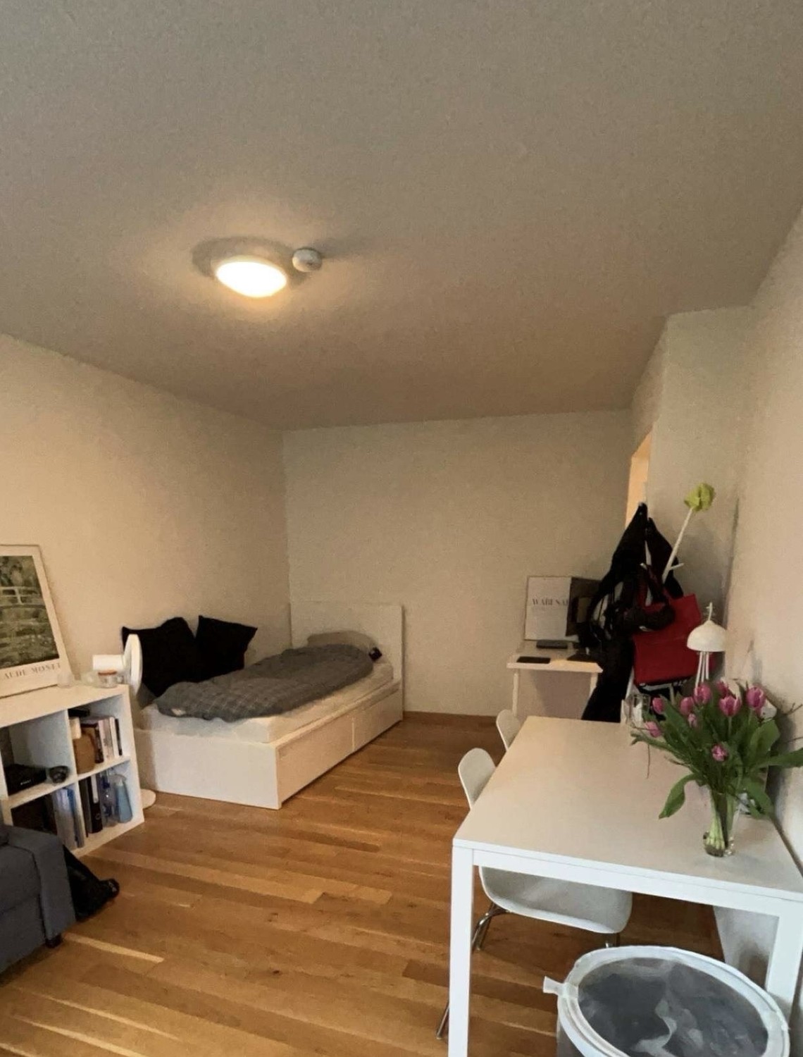Appartement 1 pièce