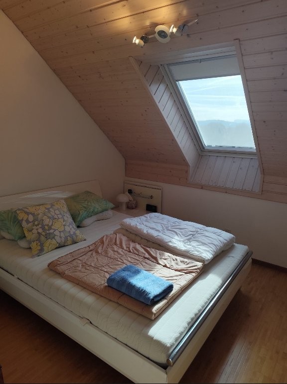 1-Zimmer-Wohnung