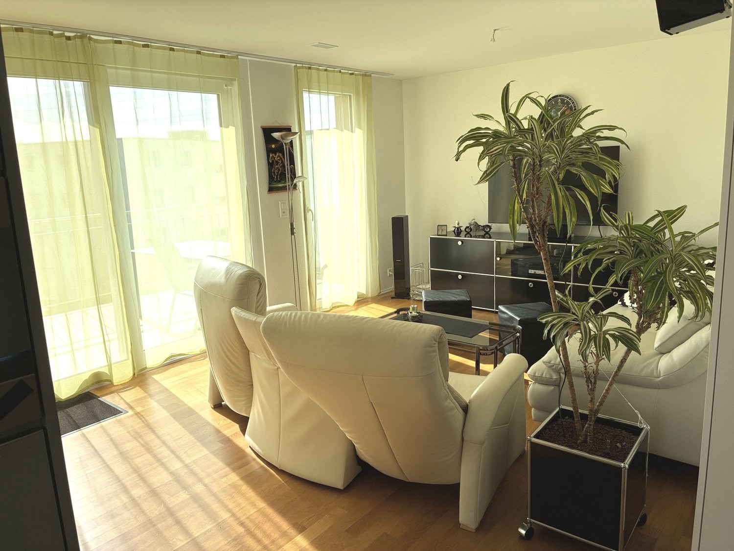 3 ½ rooms furnished flat