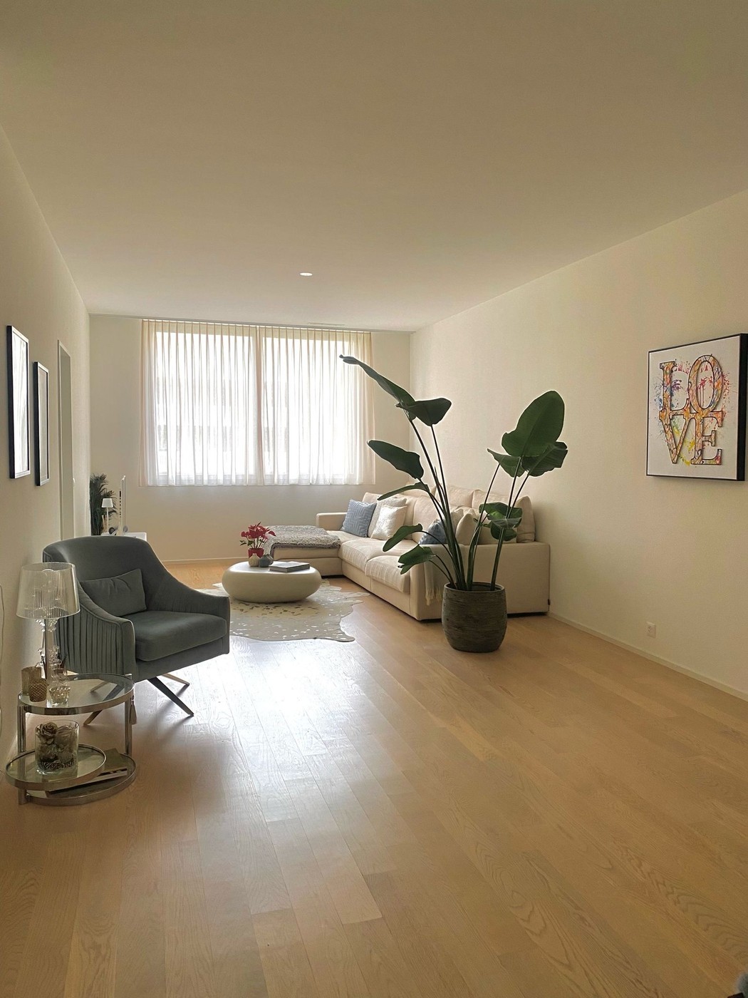 Room in a shared flat