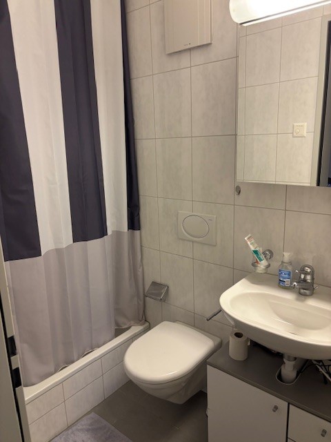 3 ½ rooms apartment, Foto 8 von 8