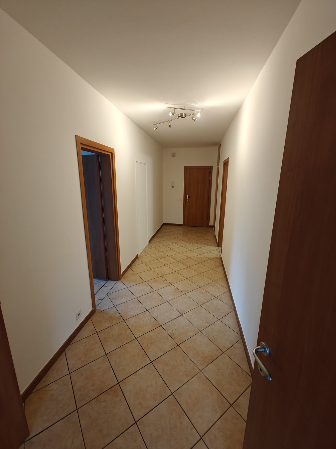 Appartamento di 2 ½ locali