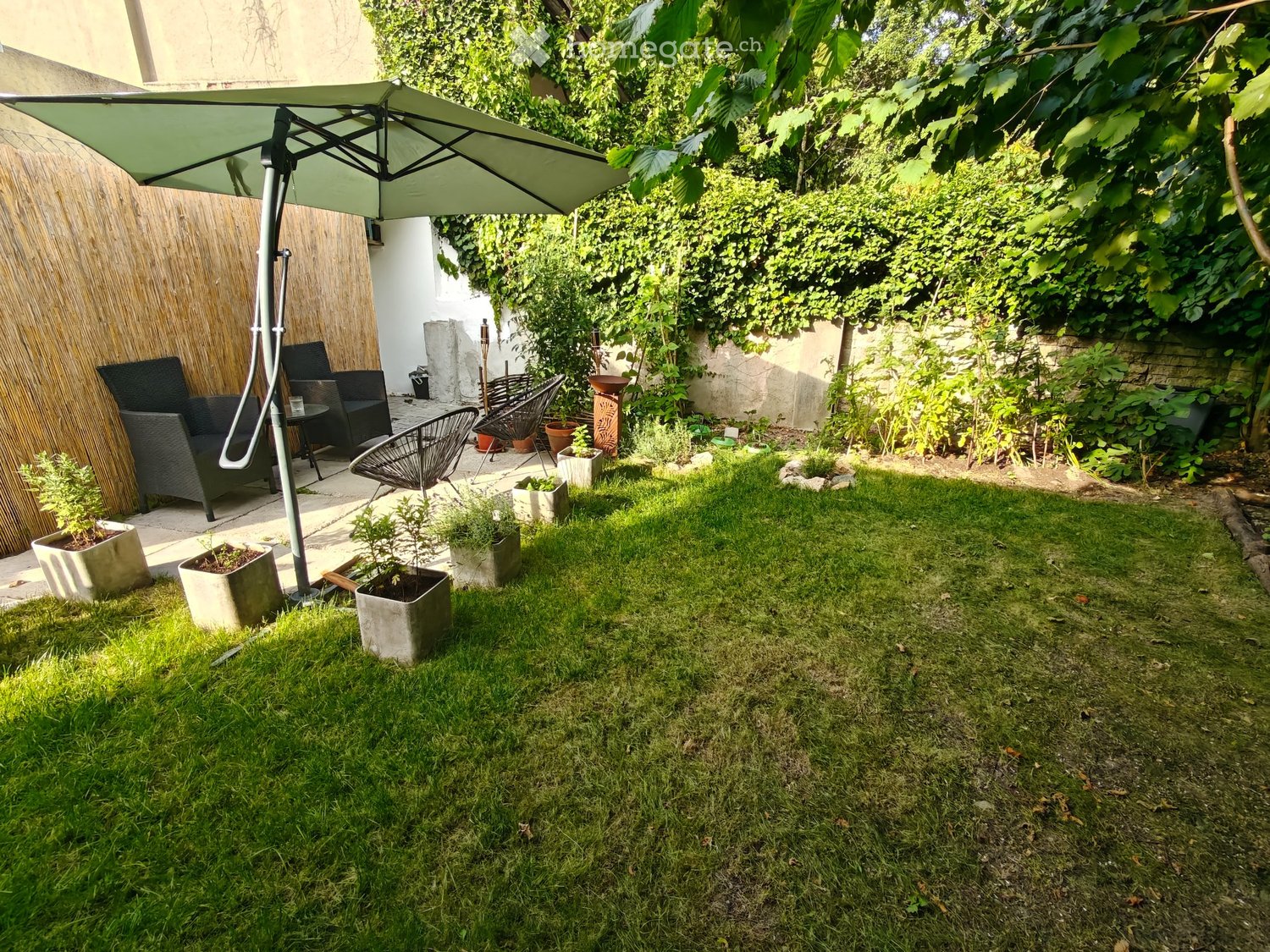 2 ½ Zimmer Wohnung