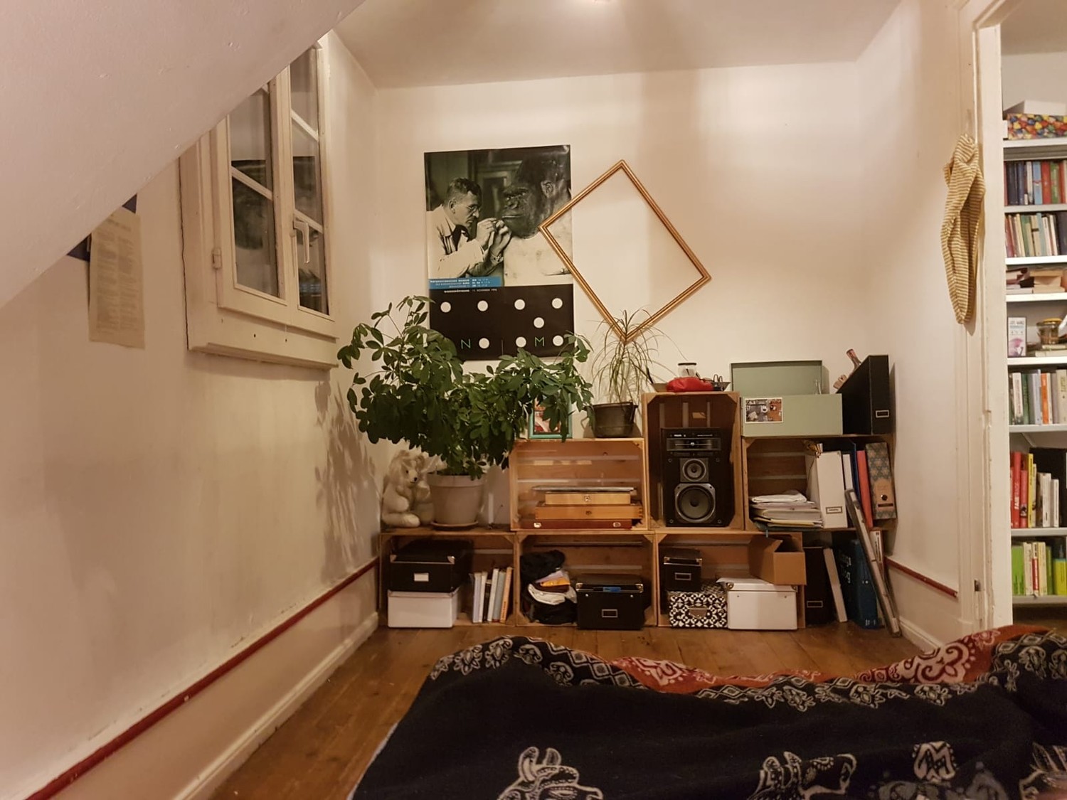 Room in a shared flat