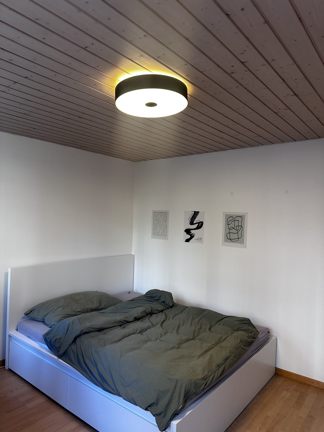 Room in a shared flat