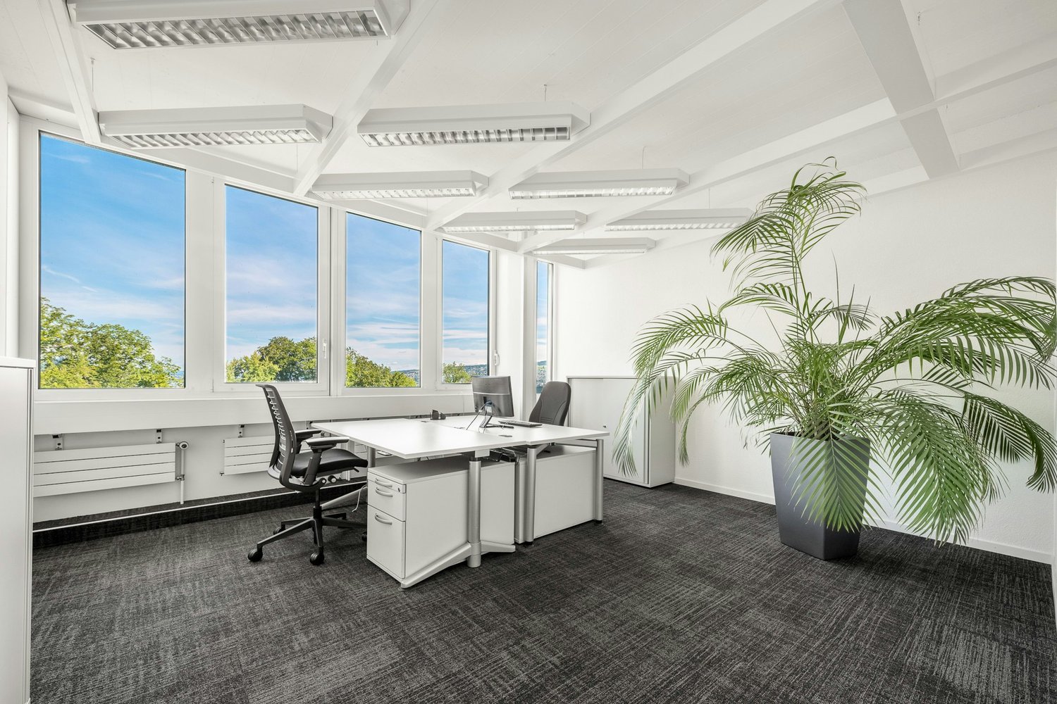 12m² office