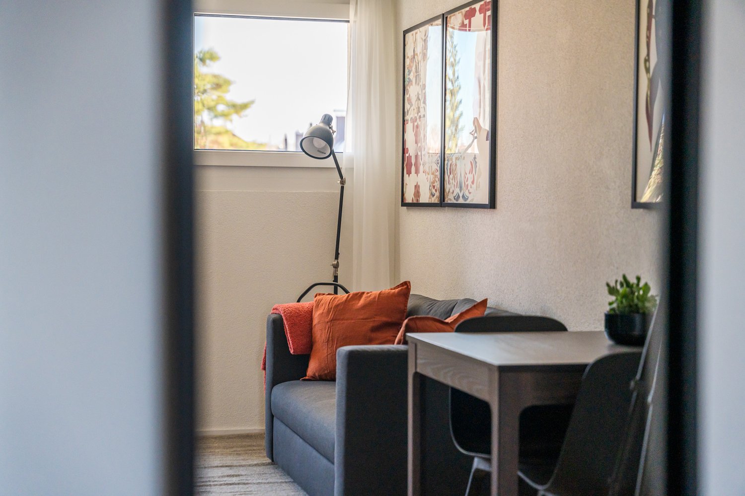 1 ½ pièces appartement meublé