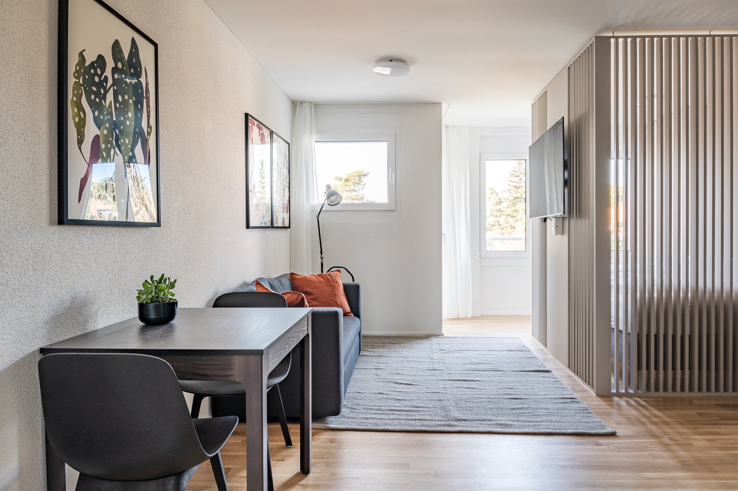 1 ½ pièces appartement meublé