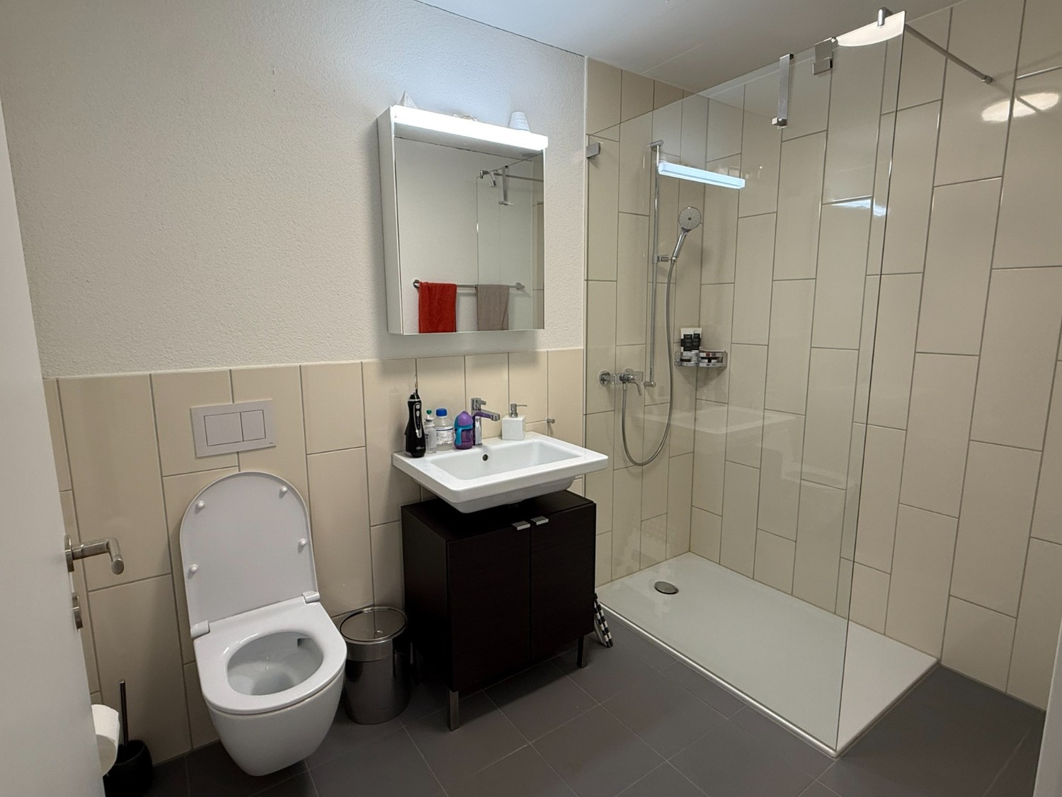 4 ½ rooms apartment