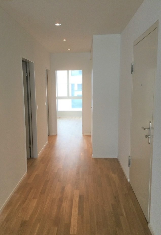 2 ½ pièces appartement