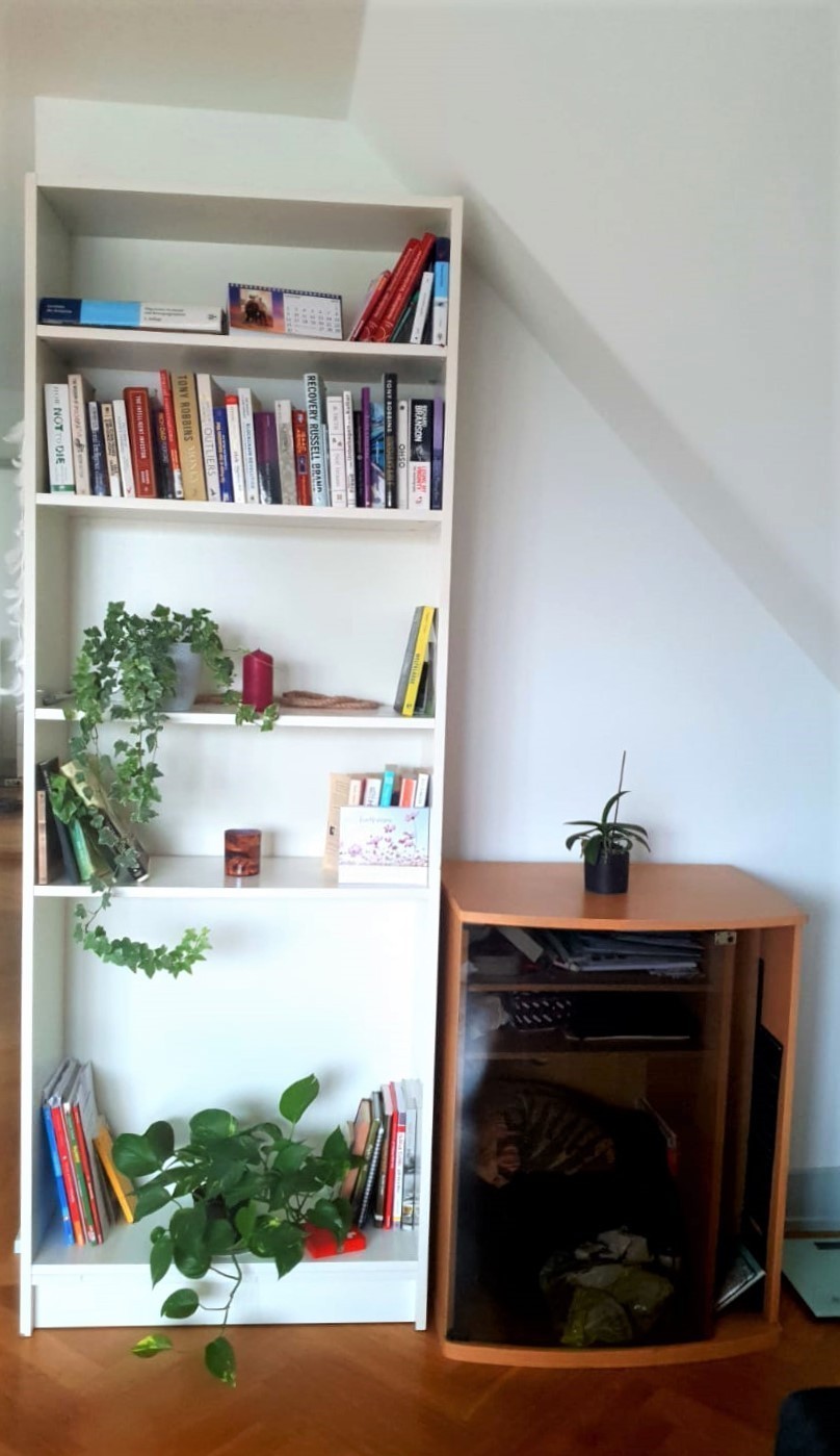 2 ½ Zimmer Wohnung, Foto 4 von 8