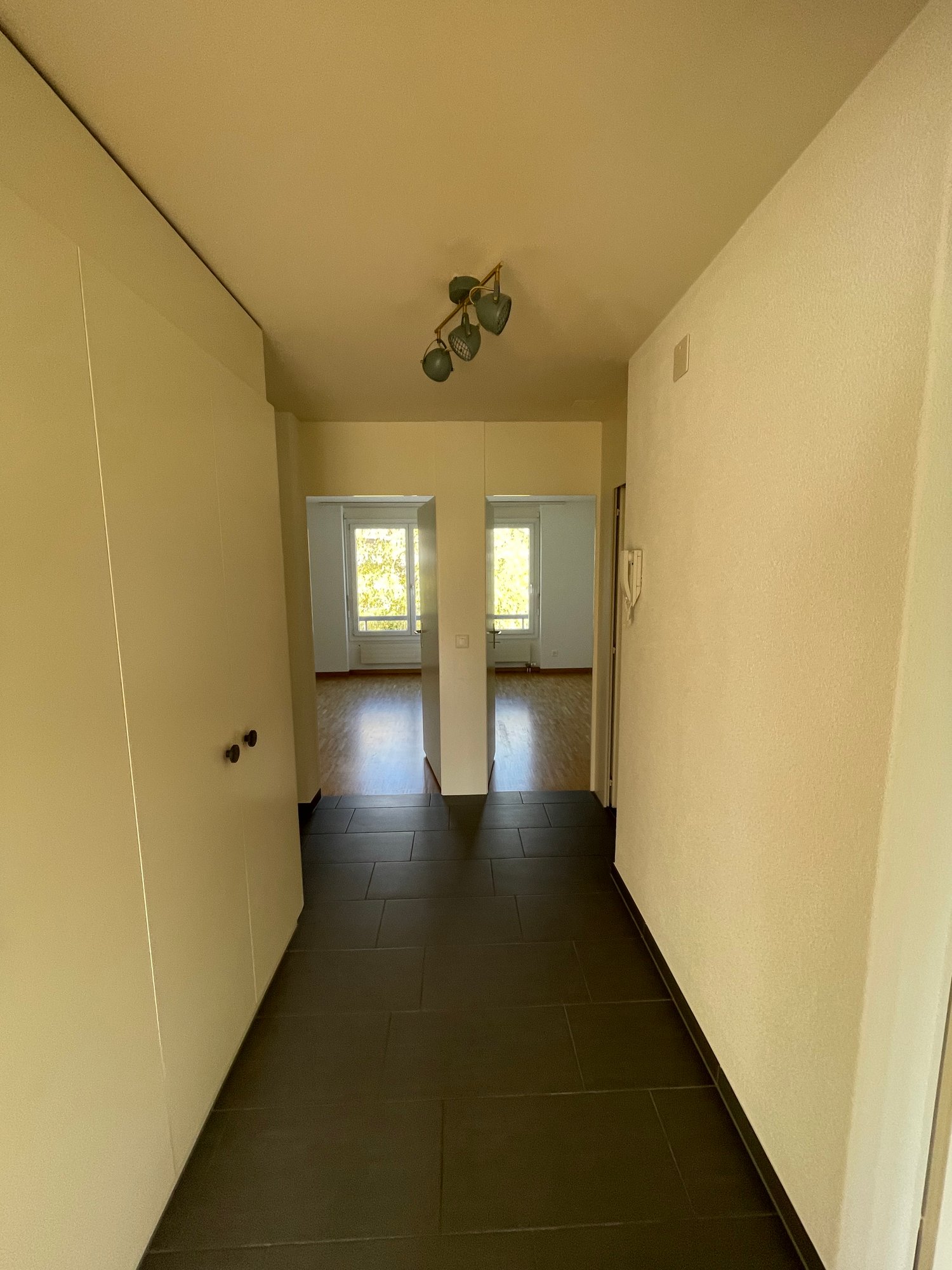 Appartement de 3 ½ pièces