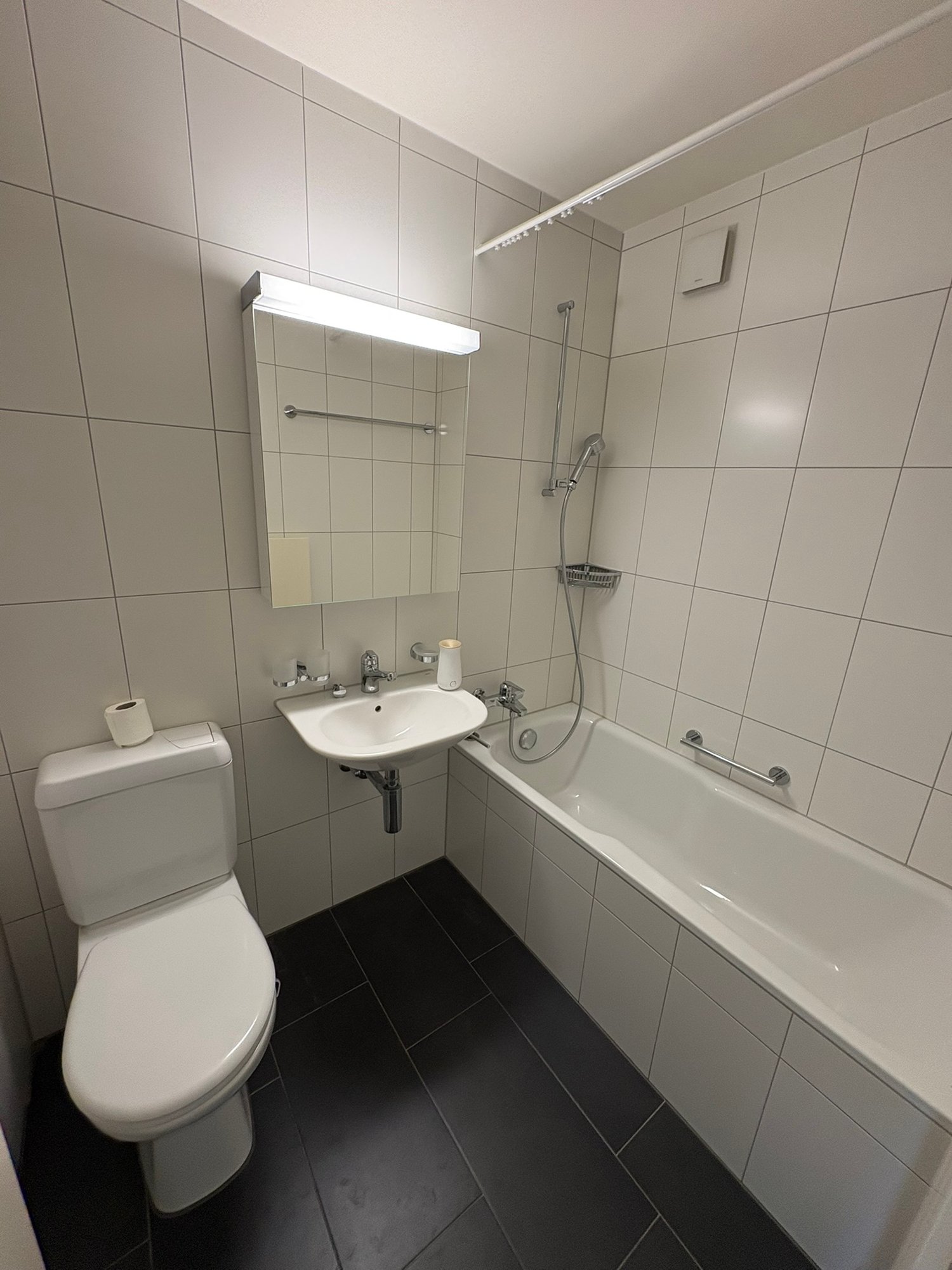Appartement de 3 ½ pièces