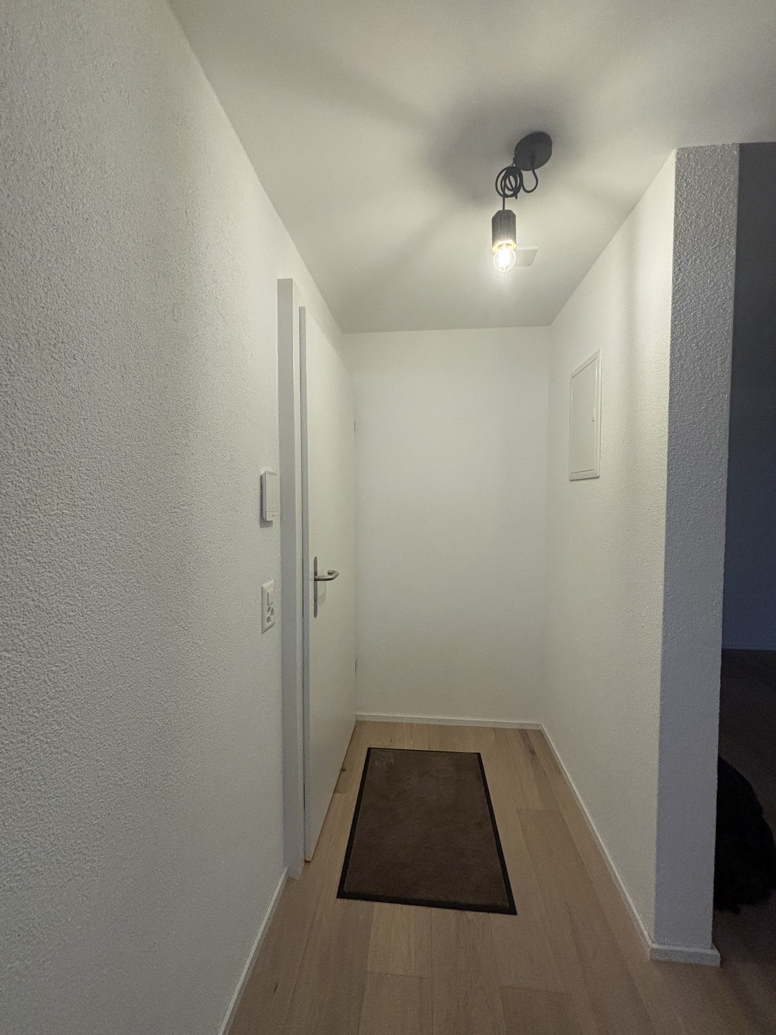 2 ½ Zimmer-Wohnung