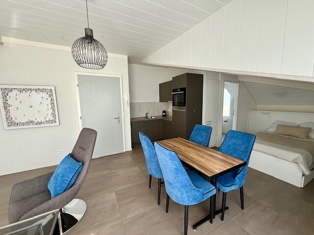 1 room apartment (3)