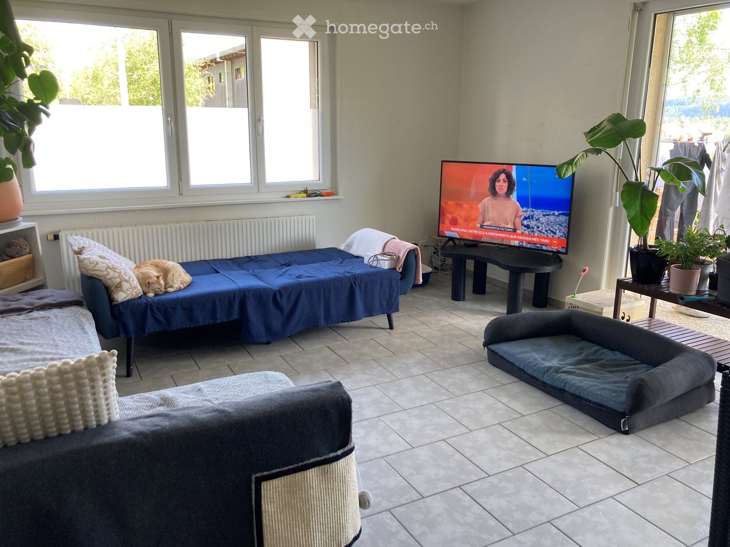 Appartamento di 2 ½ locali