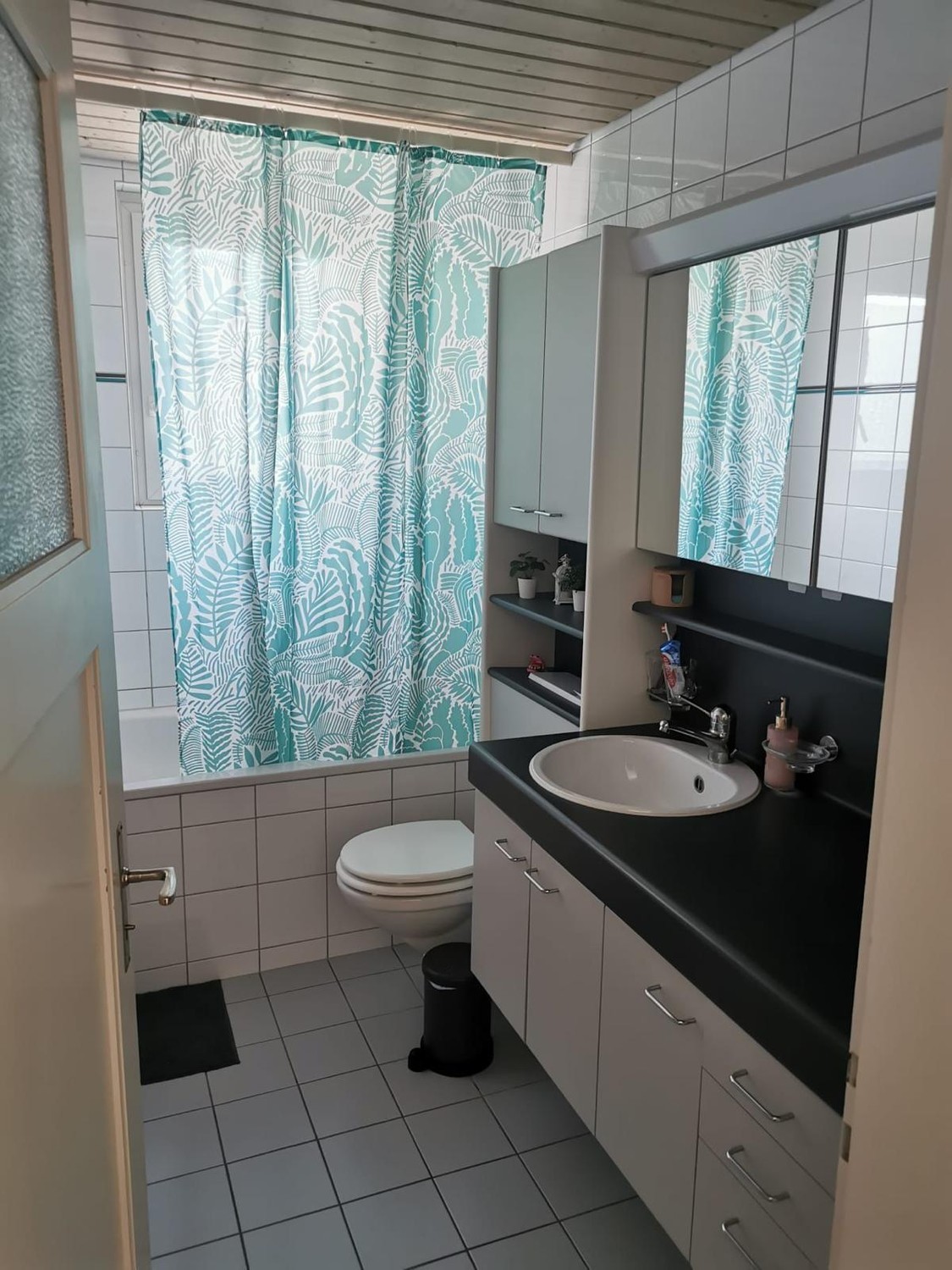 3 ½ rooms apartment (7)