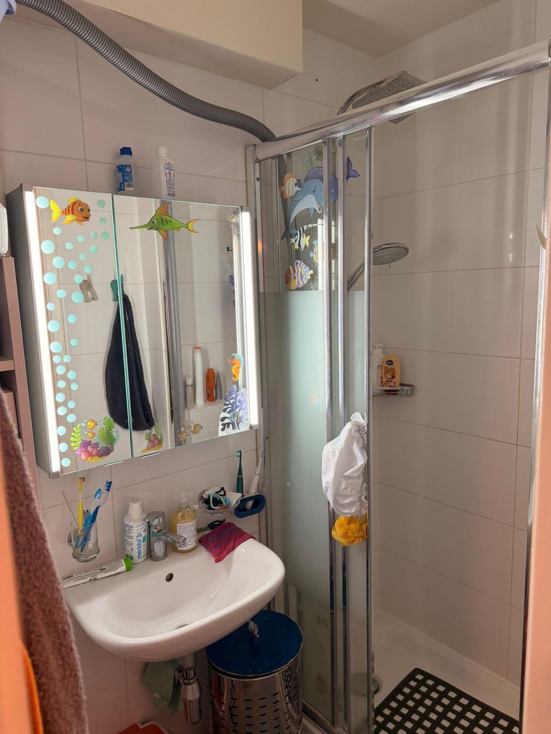 4 ½ Zimmer Wohnung