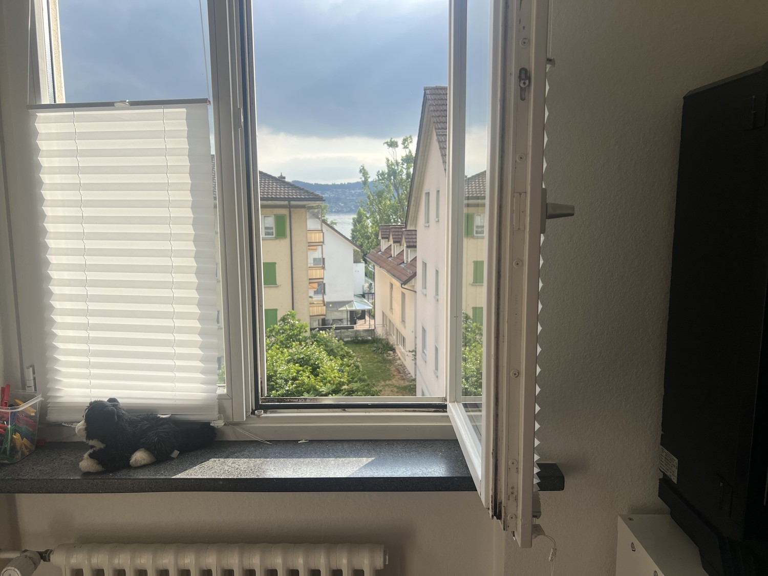 Room in a shared flat