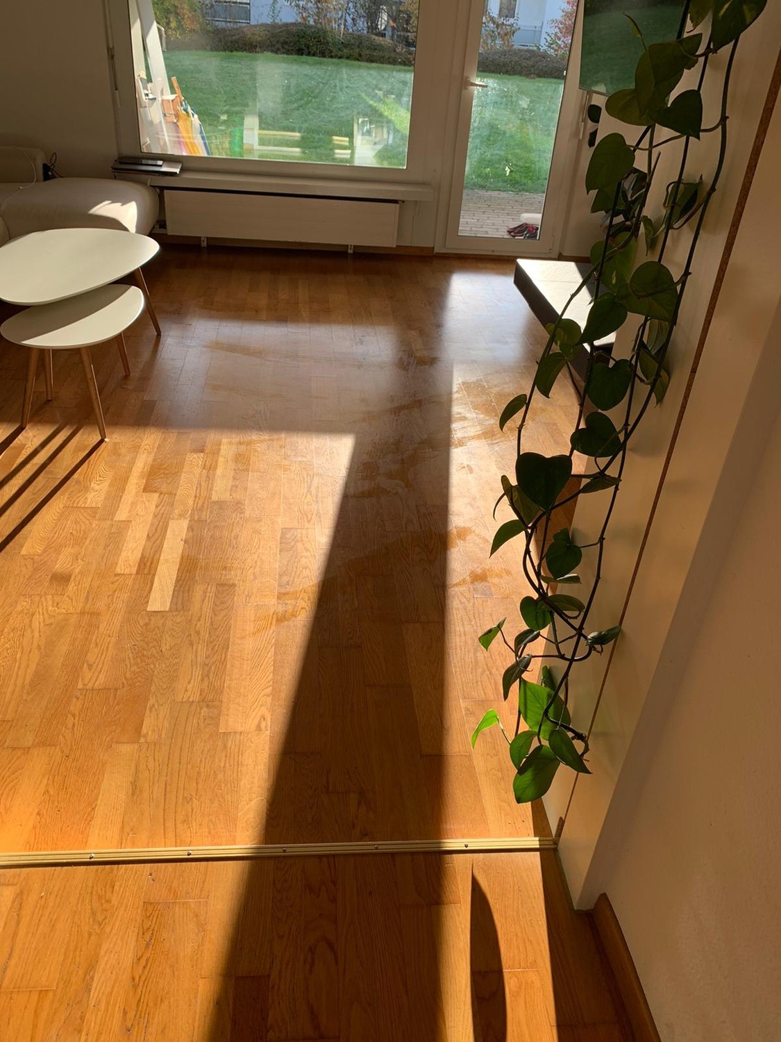 Chambre en colocation