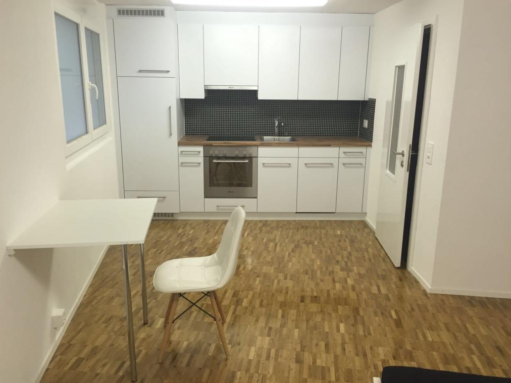 1 ½ rooms studio (4)