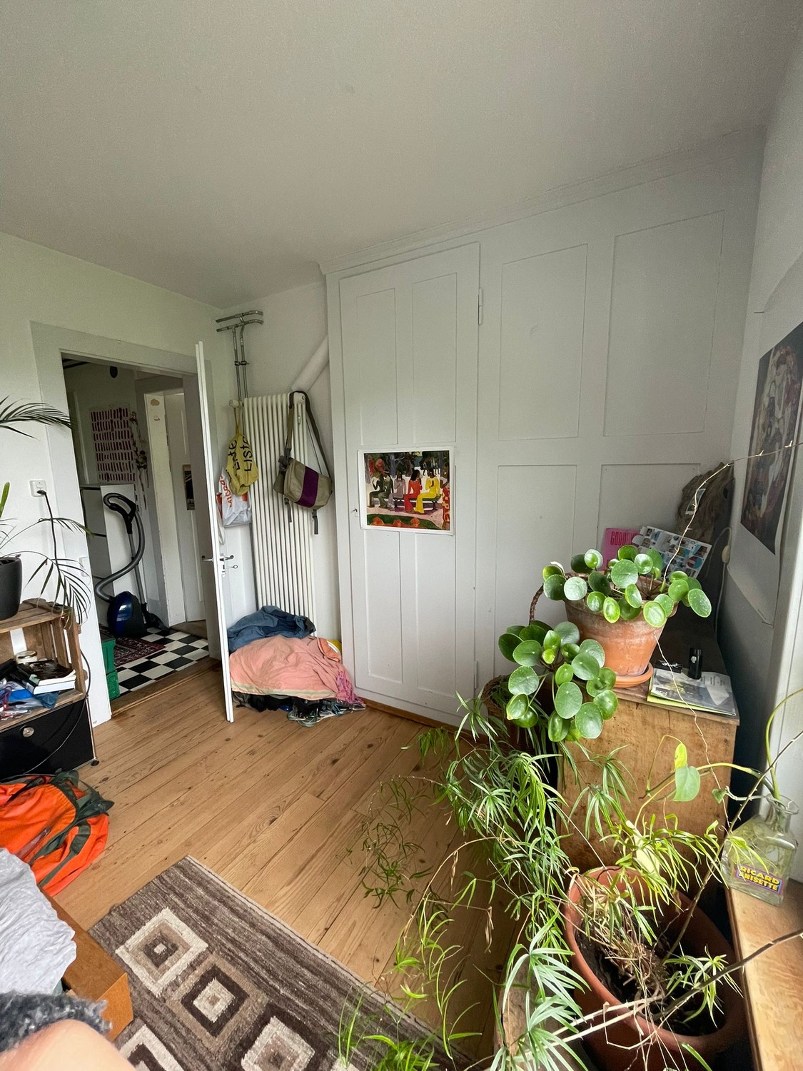 Room in a shared flat