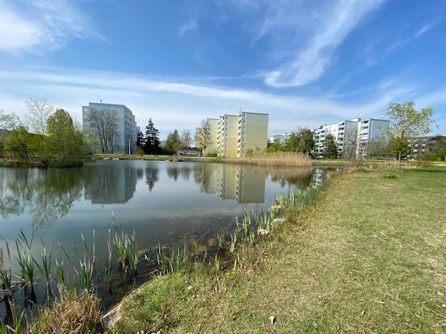 5 ½ rooms furnished flat, Foto 9 von 10