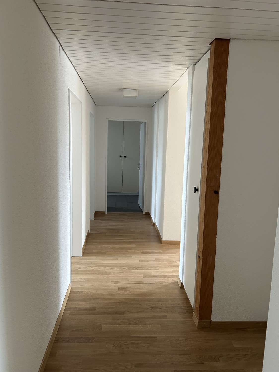 2 ½ rooms apartment, Foto 7 von 8