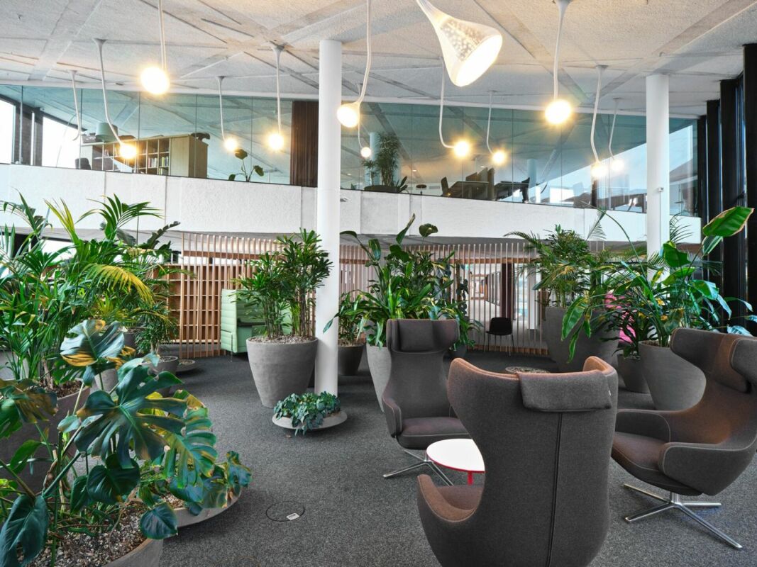 1280m² office, Foto 4 von 10