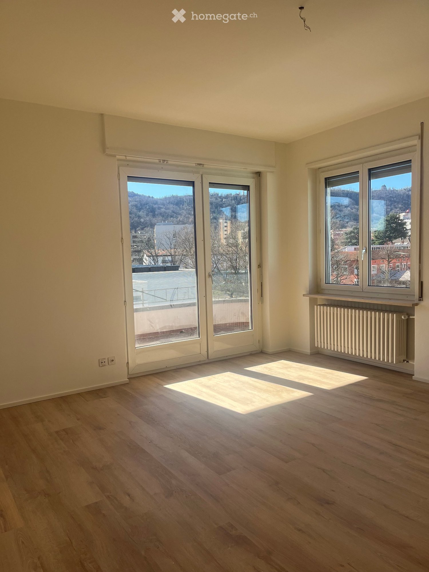 4 ½-Zimmer-Wohnung