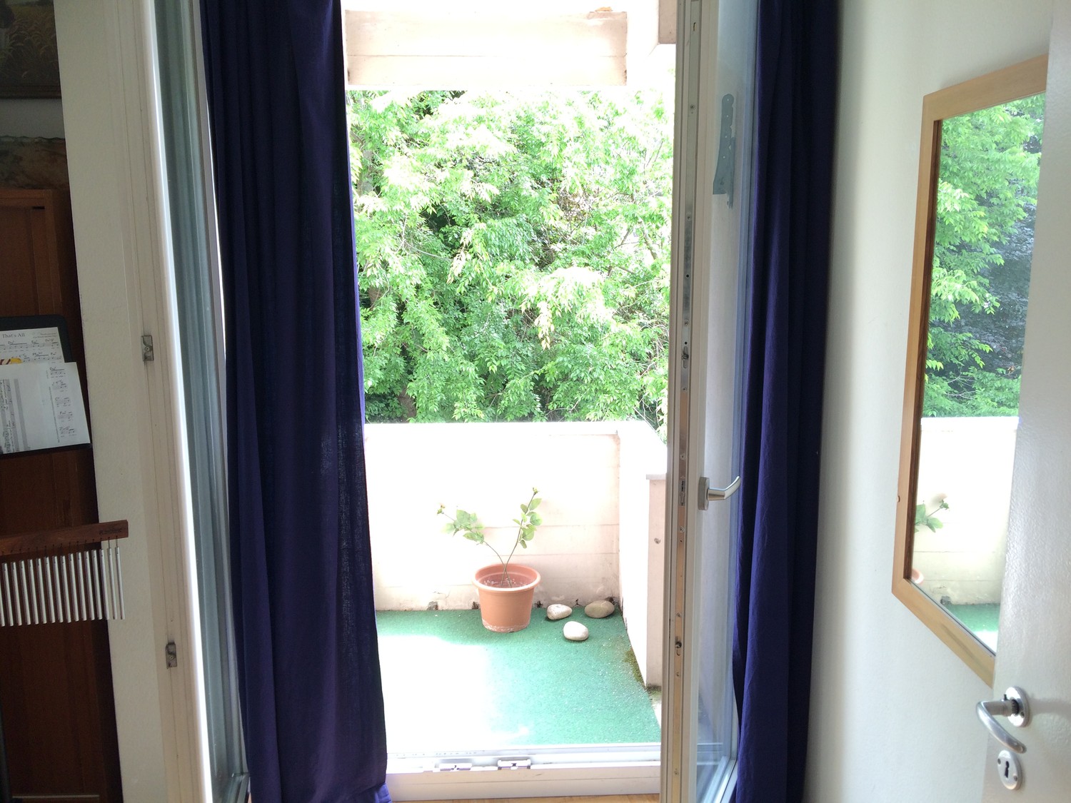 Room in a shared flat