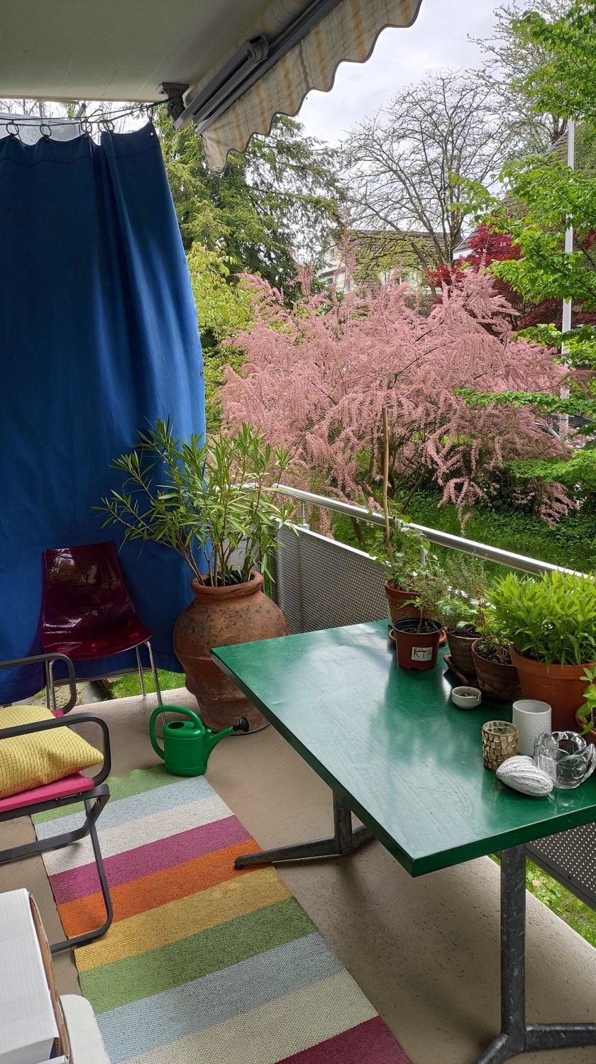2 rooms furnished flat