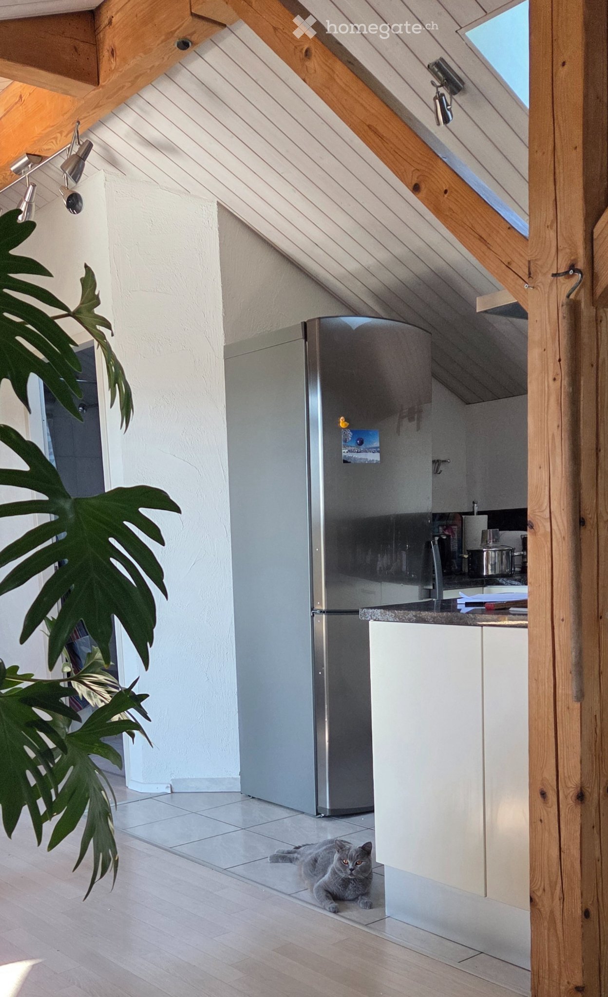 1 room single room, Foto 1 von 4