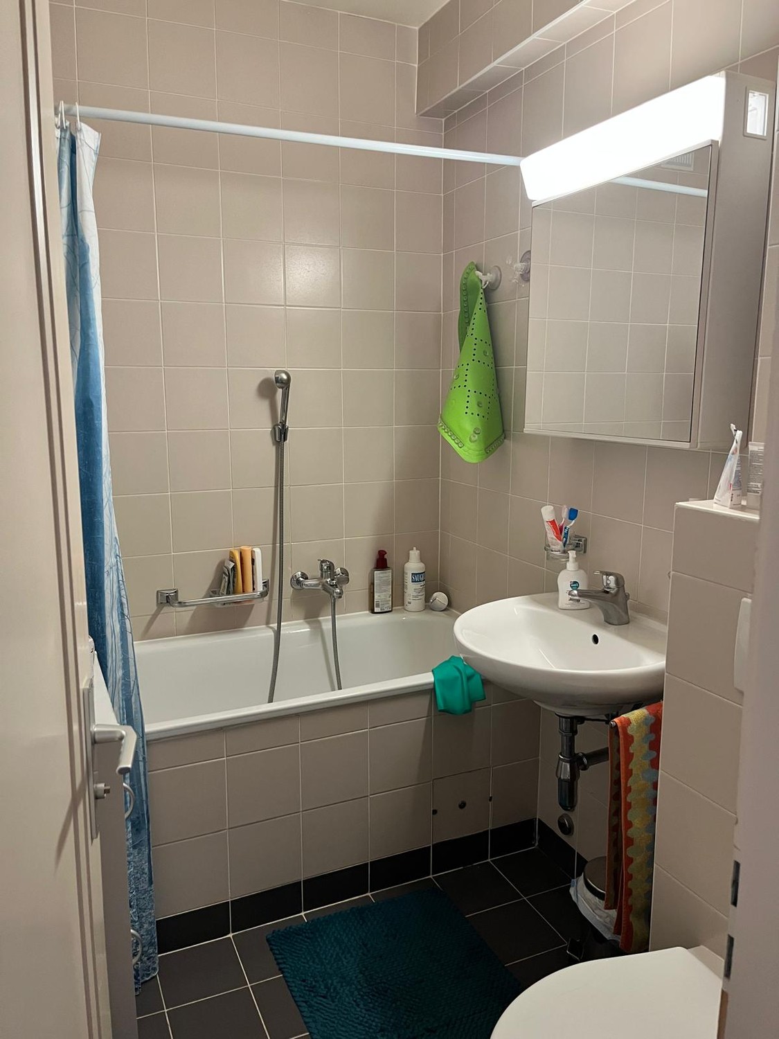 2 ½ rooms apartment