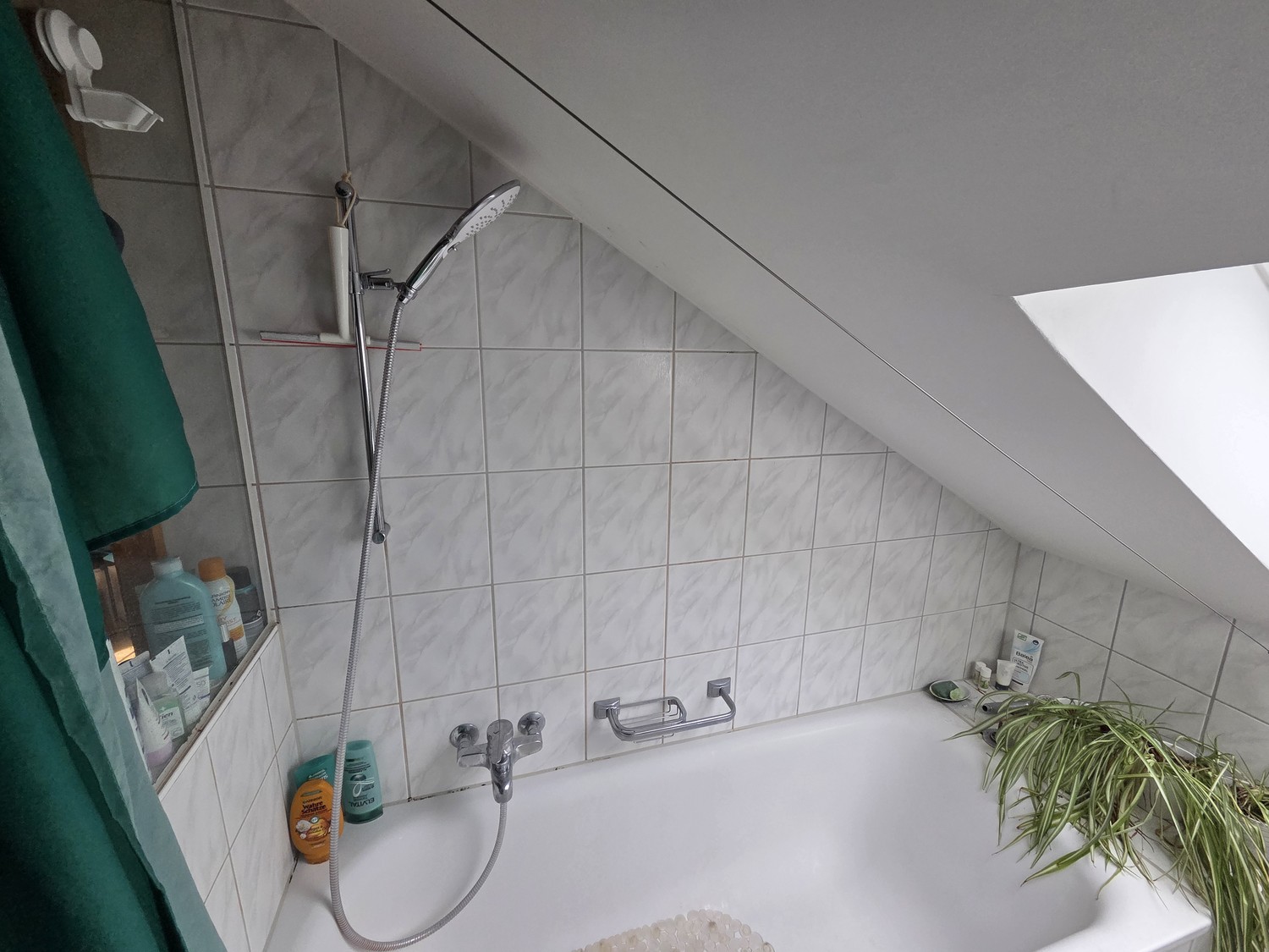 2 ½ Zimmer-Wohnung