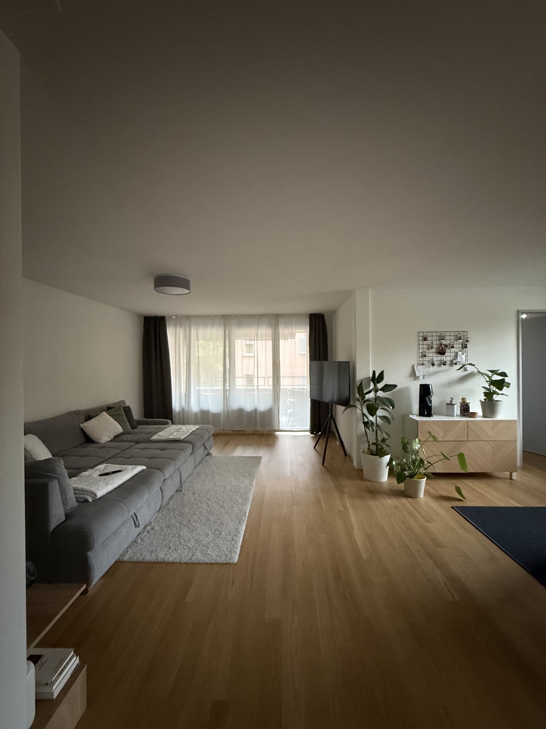 Room in a shared flat