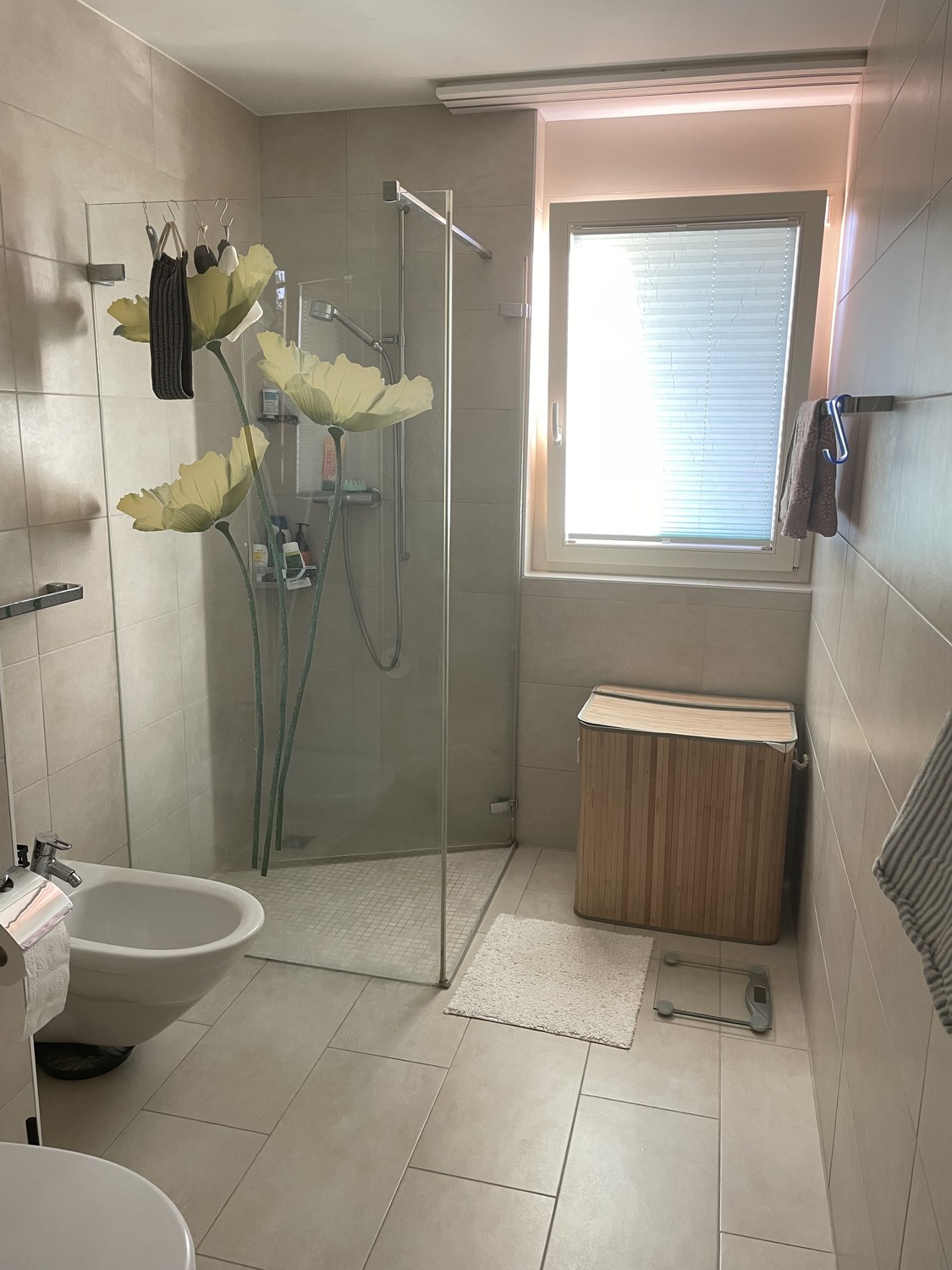 2 ½ Zimmer Wohnung, Foto 5 von 10
