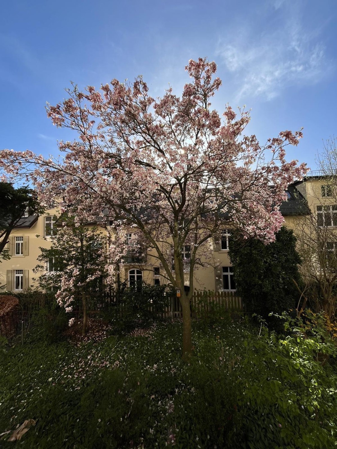 Zimmer in einer WG, Foto 3 von 6