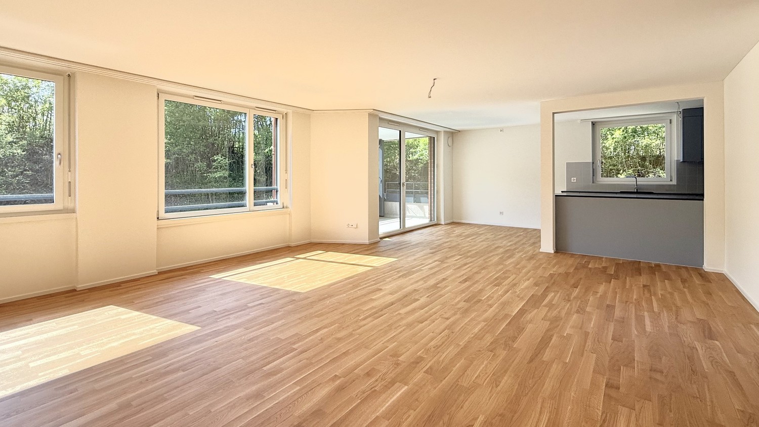 4 ½ rooms apartment