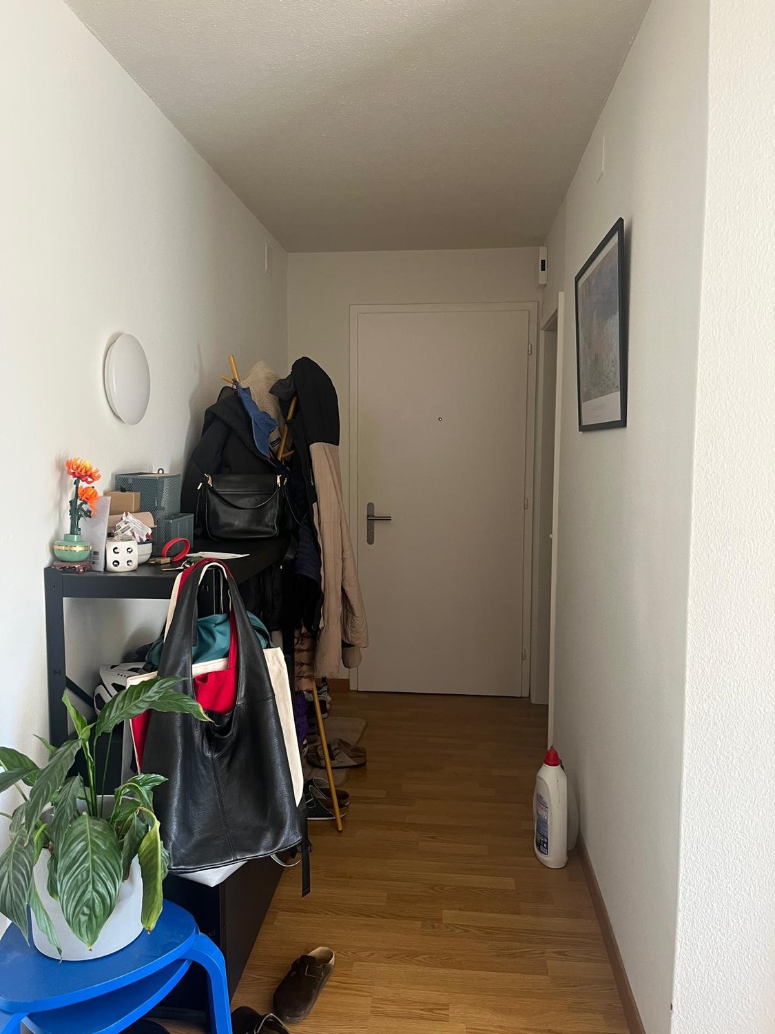 4 ½ rooms apartment
