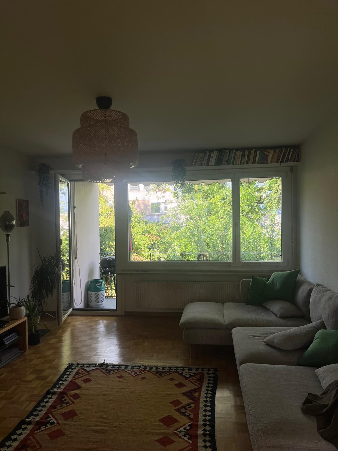 4 ½ rooms apartment