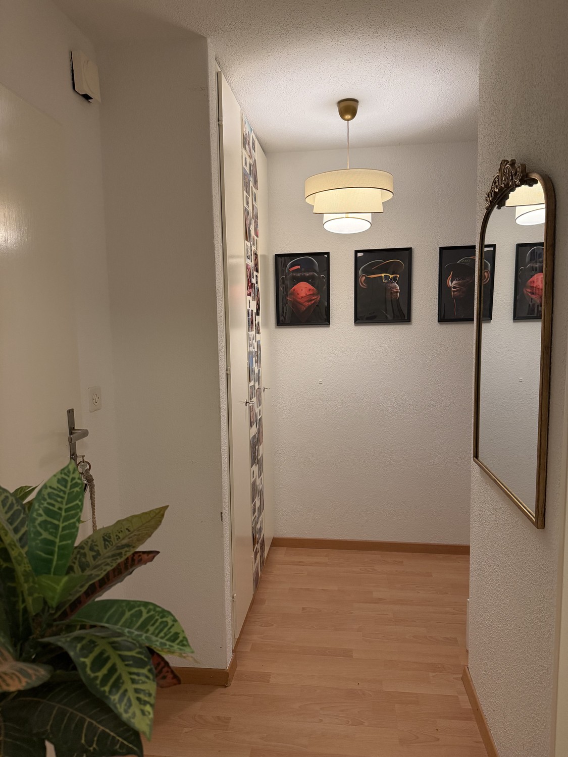 1 rooms apartment