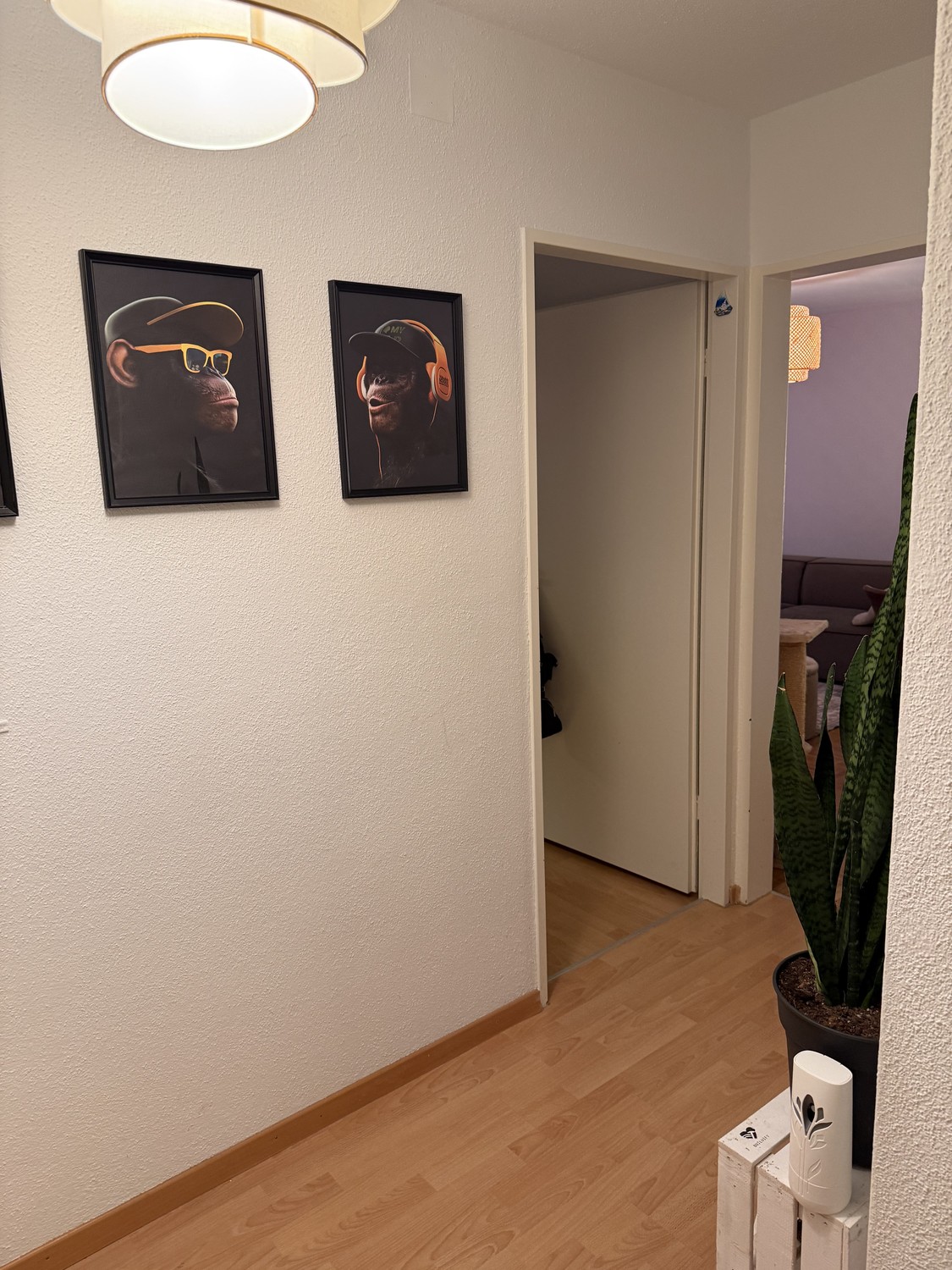 1 rooms apartment
