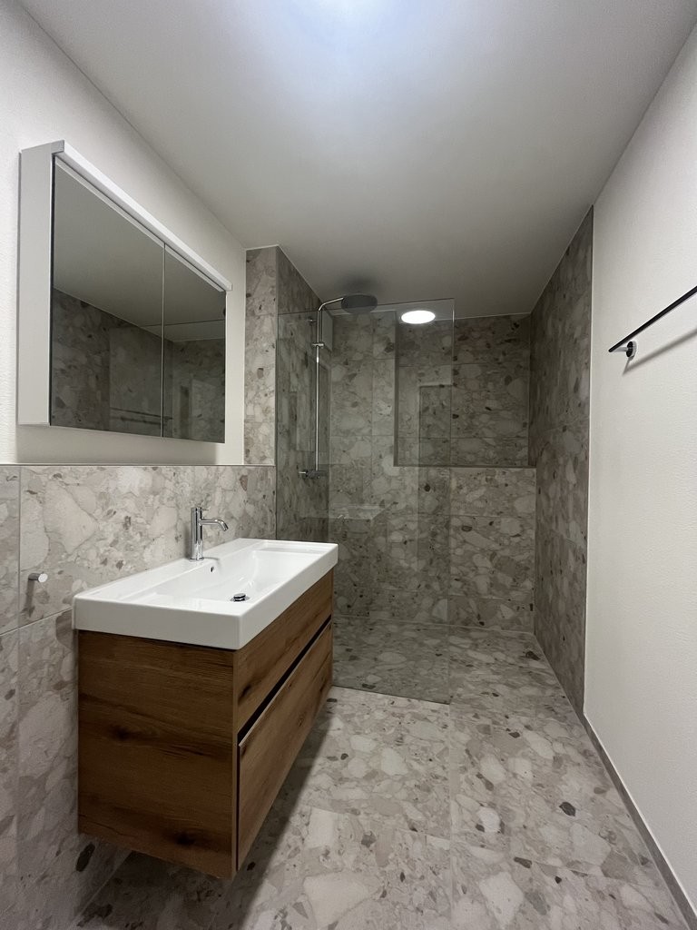 3 ½ rooms apartment (5)