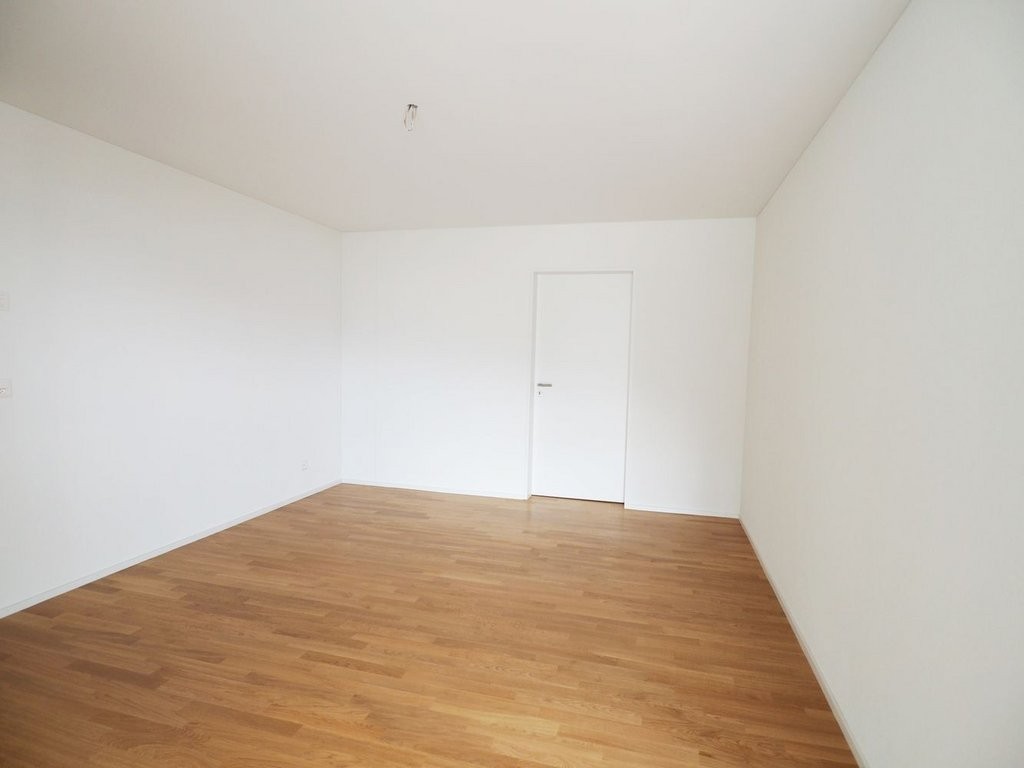 3 ½ rooms apartment (6)