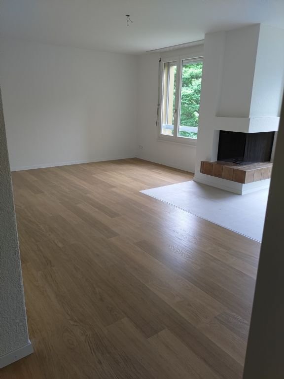 4 ½ rooms apartment (3)