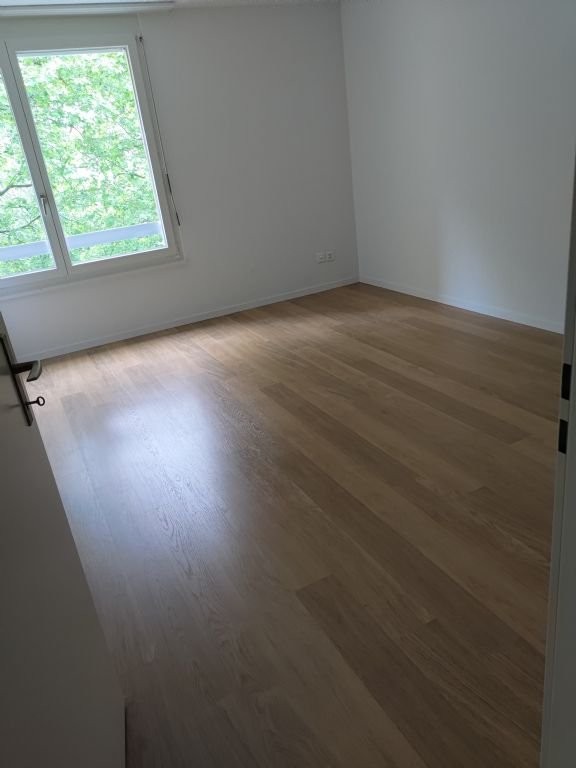 4 ½ rooms apartment (6)